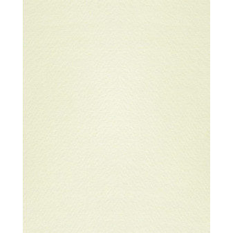 Grafický papír Modigl 72x101cm, béžový Bianco, 95g