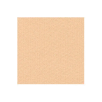 Grafický papír Chagal 72x101cm, písek, 260g