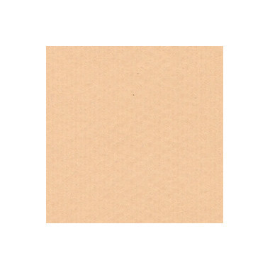 Grafický papír Chagal 72x101cm, písek, 260g