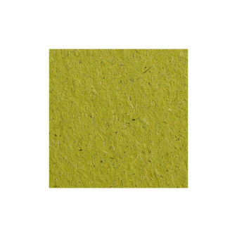 Grafický papír Gmund B1, BIO Cycle, Chlorophyl, 300g
