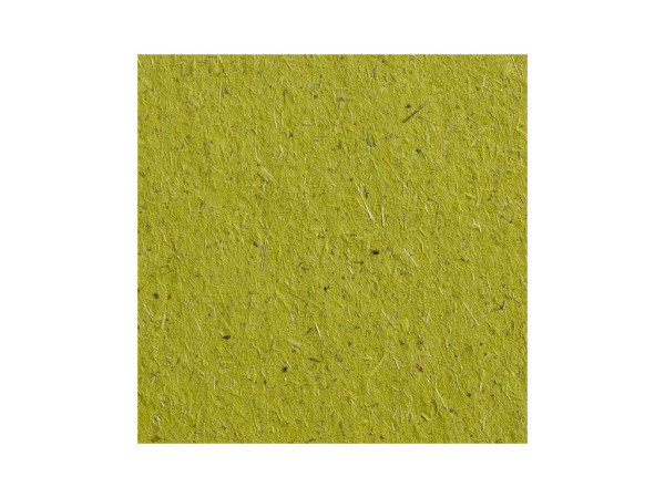 Grafický papír Gmund B1, BIO Cycle, Chlorophyl, 300g