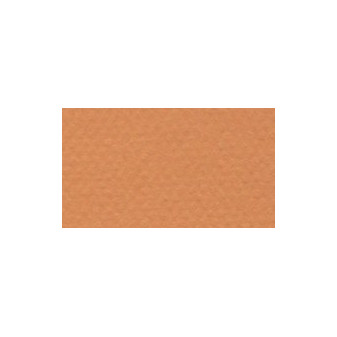 Graf. pap. canson tein A4 160g okr 384