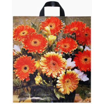 Taška LDPE, 44 x 48cm, s uchem, gerbera, 25ks