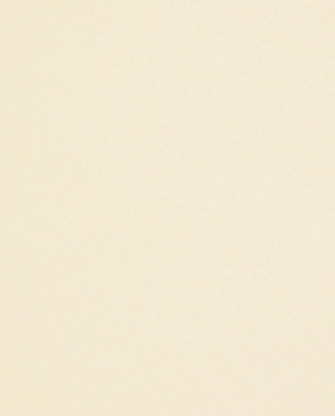 Grafický papír Conqueror cream CX22 B1 250g