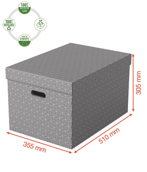 Úložný box Esselte, L, šedý