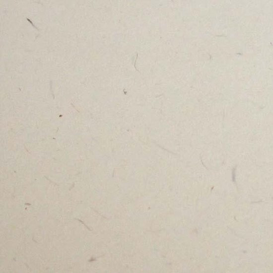 Grafický papír Wood B1, Betulla, 260g