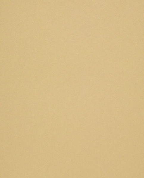 Graf. pap curious B1 300g metal champagne