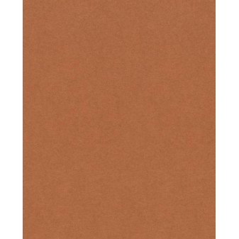 Graf. pap wild 72x102 300g clay (terrakota)