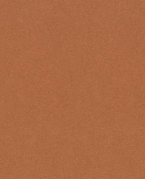 Graf. pap wild 72x102 150g clay (terrakota)