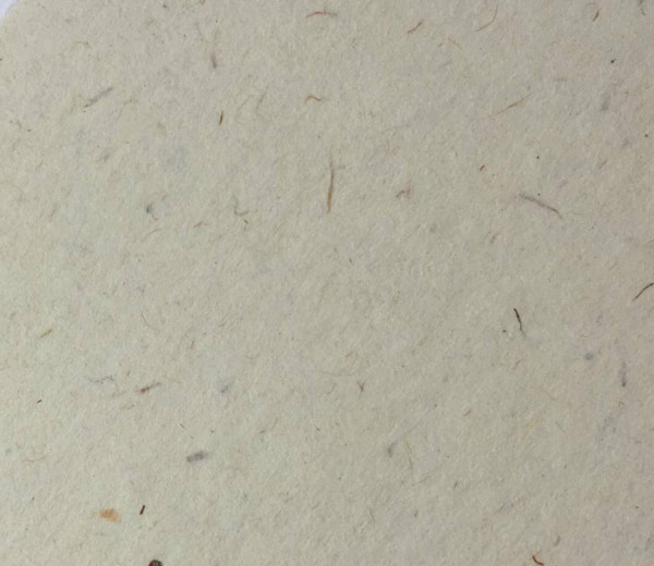 Graf. pap flora avorio B1 240g recykl