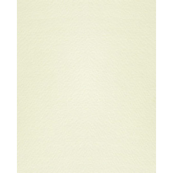Grafický papír Modigl 72x101cm, béžový Bianco, 95g