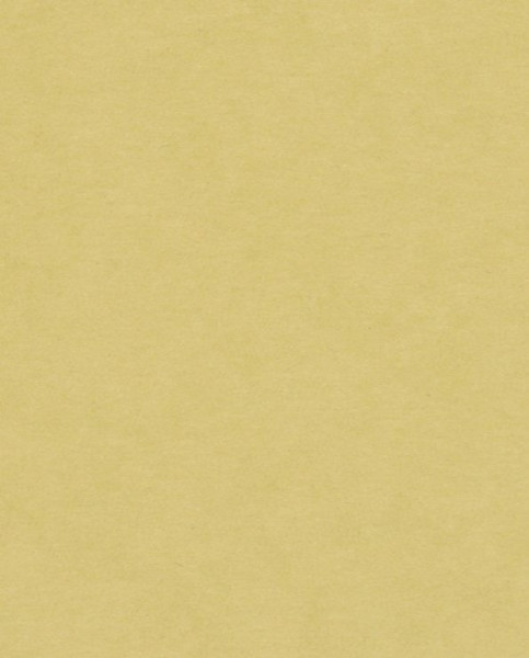 Graf. pap wild natural sand B1 450g přírod.