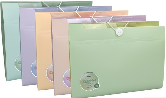 Desky s přihrádkami A4/8 přihrádek deli pastel mix