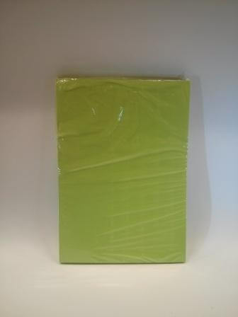 Barevný karton lipově zelený A3 / 10ks